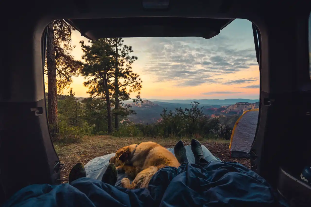 camping z psem