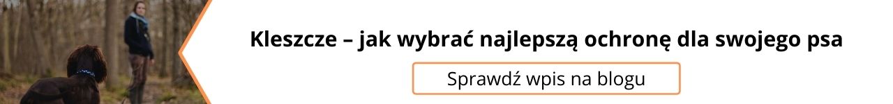 co na kleszcze dla psa