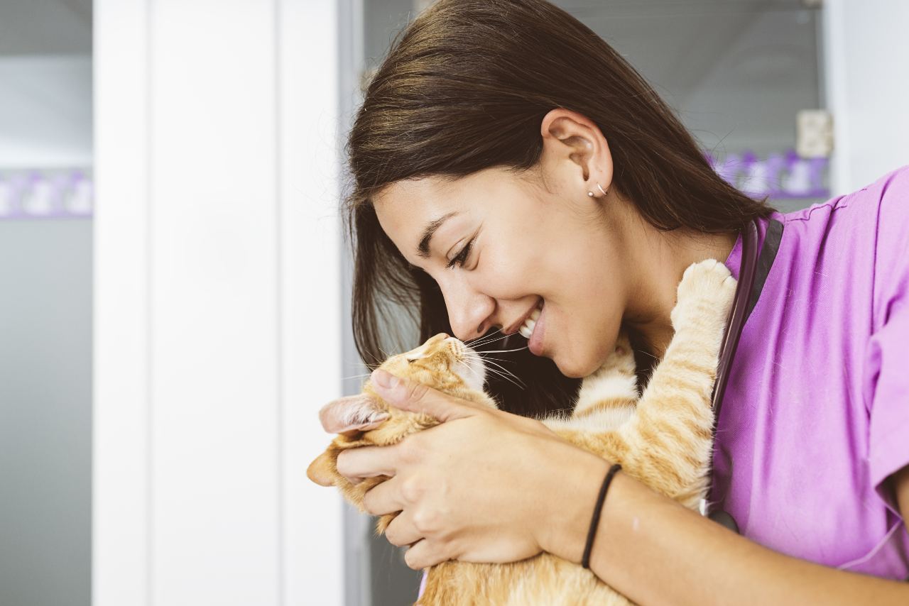 Szczepienia kota – co powinieneś o nich wiedzieć