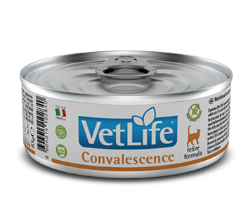 Farmina Vet Life Convalescence dla kota podczas rekonwalescencji 85g