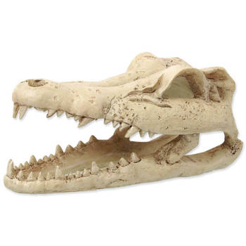 Repti Planet Dekoracja czaszka Krokodyla 13,8x6,8x6,5cm