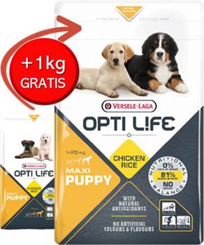 Versele-Laga Opti Life Puppy Maxi dla szczeniąt ras dużych 12,5kg + 1kg gratis!