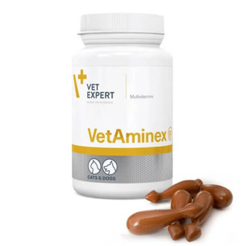 VetExpert Vetaminex preparat witaminowo-mineralny dla psa i kota 60kaps.