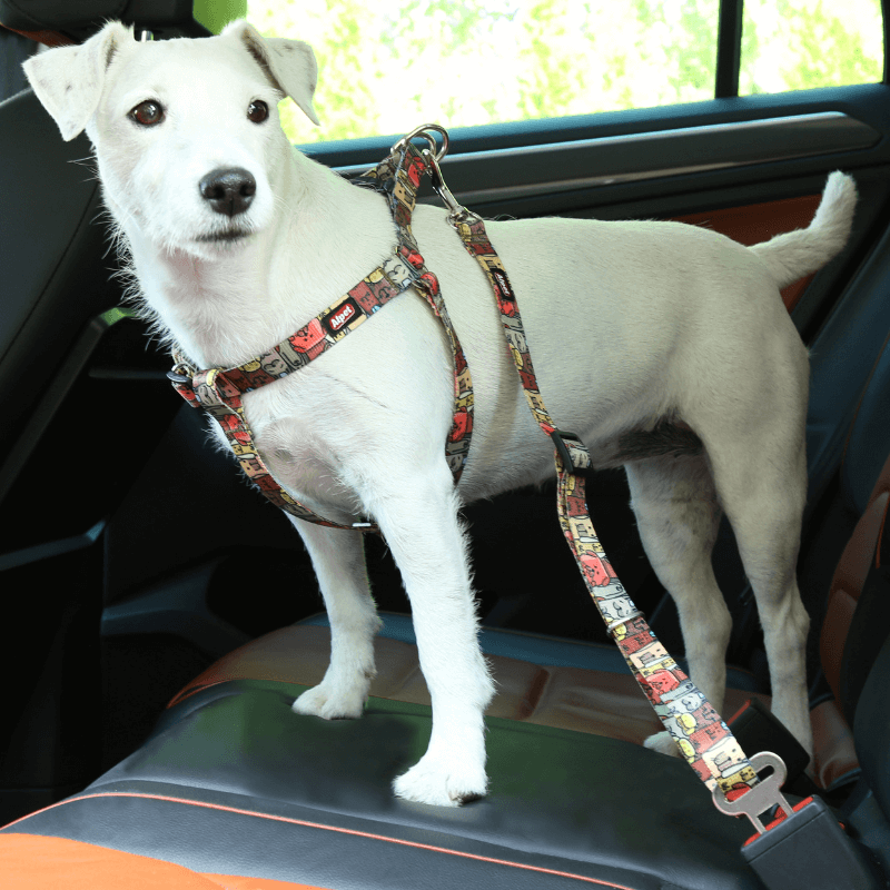 Alpet zestaw samochodowy do transportu małych psów Psia Ekipa rozmiar 1