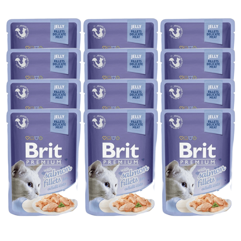 Brit Premium Cat Fillets in Jelly Salmon łosoś 12x85g
