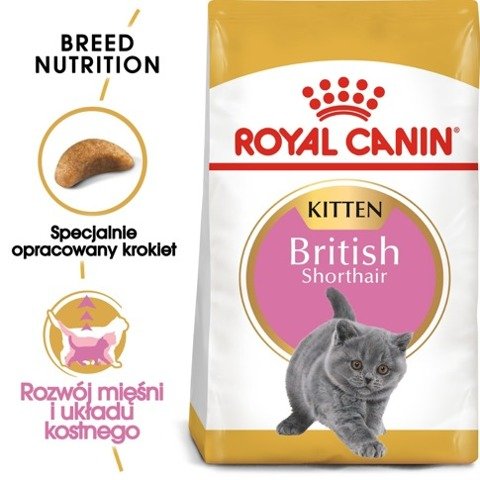 ROYAL CANIN British Shorthair Kitten karma sucha dla kociąt, do 12 miesiąca, rasy brytyjski krótkowłosy 10kg