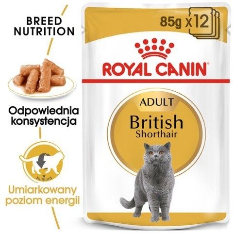 ROYAL CANIN British Shorthair karma mokra w sosie dla kotów dorosłych rasy brytyjski krótkowłosy 12x85g