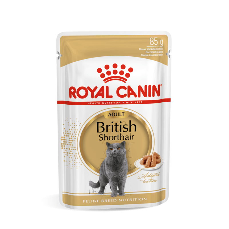 ROYAL CANIN British Shorthair karma mokra w sosie dla kotów dorosłych rasy brytyjski krótkowłosy 85g