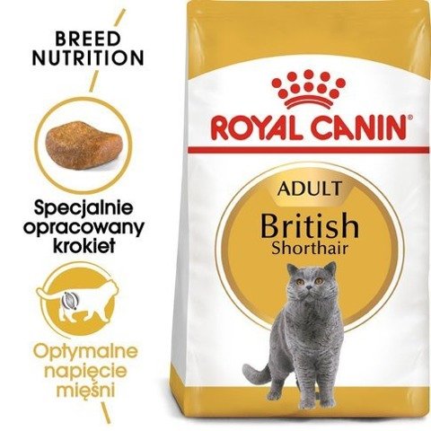 ROYAL CANIN British Shorthair karma sucha dla kotów dorosłych rasy brytyjski krótkowłosy 10kg