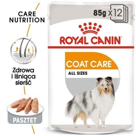 ROYAL CANIN CCN Coat Care karma mokra - pasztet dla psów dorosłych o matowej sierści 12x85g
