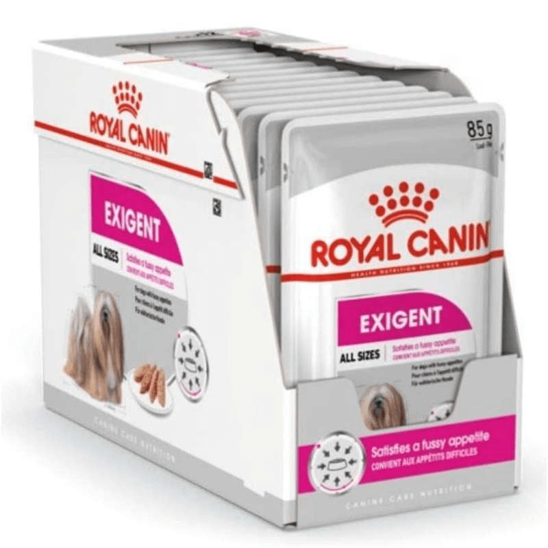 ROYAL CANIN CCN Exigent karma mokra - pasztet dla psów dorosłych, wybrednych 12x85g