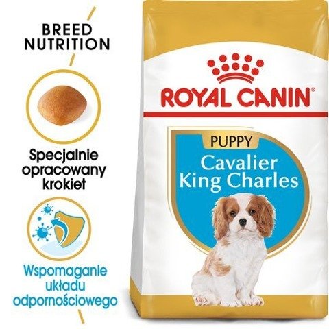 ROYAL CANIN Cavalier King Charles Spaniel Puppy karma sucha dla szczeniąt do 10 miesiąca, rasy cavalier king charles spaniel 1,5kg