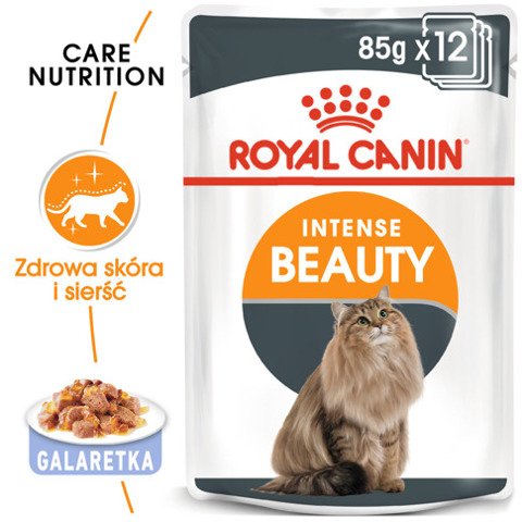 ROYAL CANIN  Intense Beauty w galaretce, karma mokra w galaretce dla kotów dorosłych, zdrowa skóra, piękna sierść 12x85g