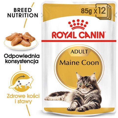 ROYAL CANIN Maine Coon karma mokra w sosie dla kotów dorosłych rasy maine coon 12x85g