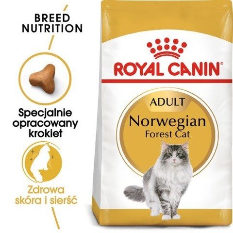 ROYAL CANIN Norvegian Forest Cat Adult karma sucha dla kotów dorosłych rasy norweski leśny 10kg