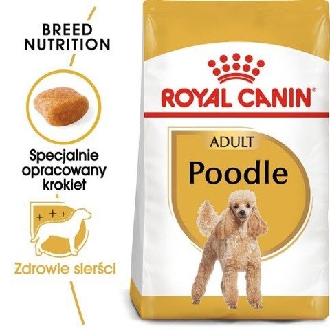 ROYAL CANIN Poodle Adult karma sucha dla psów dorosłych rasy pudel miniaturowy 1,5kg