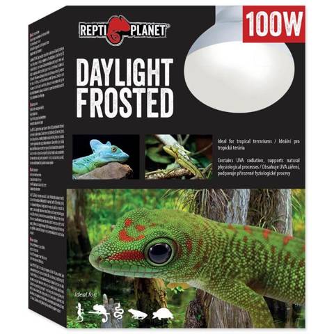 Repti Planet Żarówka Daylight Frosted 100W