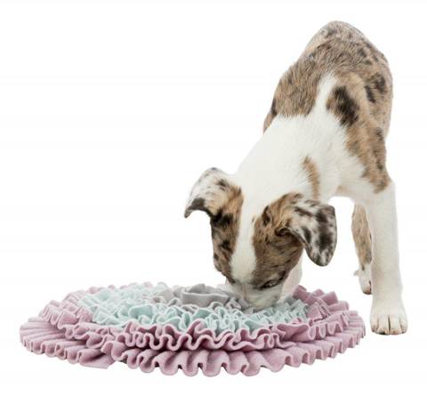 Trixie Junior Sniffing Carpet mata węchowa dla psów