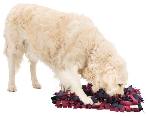 Trixie Sniffing Carpet mata węchowa dla psów