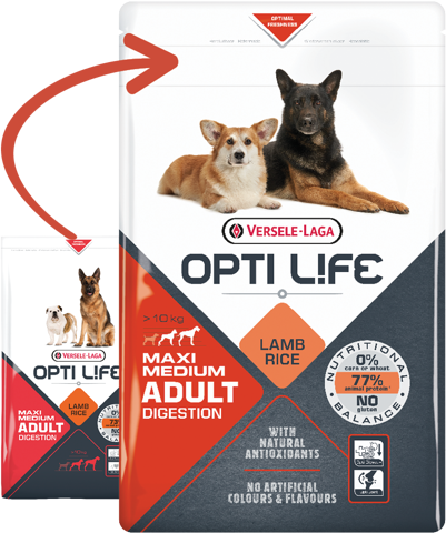 Versele-Laga Opti Life Adult Digestion Medium/Maxi dla psów z wrażliwym układem pokarmowym 1kg