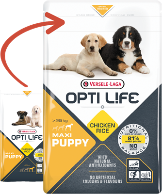 Versele-Laga Opti Life Puppy Maxi dla szczeniąt ras dużych 12,5kg