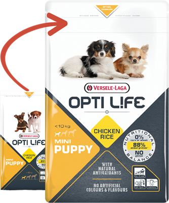 Versele-Laga Opti Life Puppy Mini dla szczeniąt ras małych 2,5kg