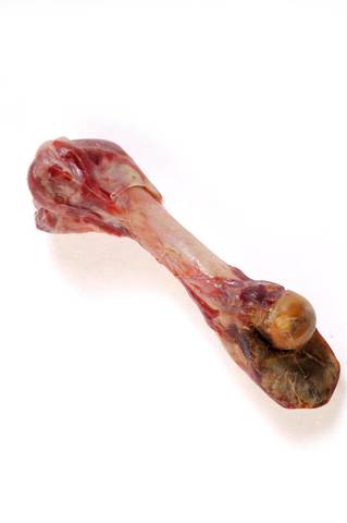 Zolux Kość z szynki parmeńskiej L 370g