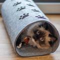 Alpet Legowisko - Tunel dla kota